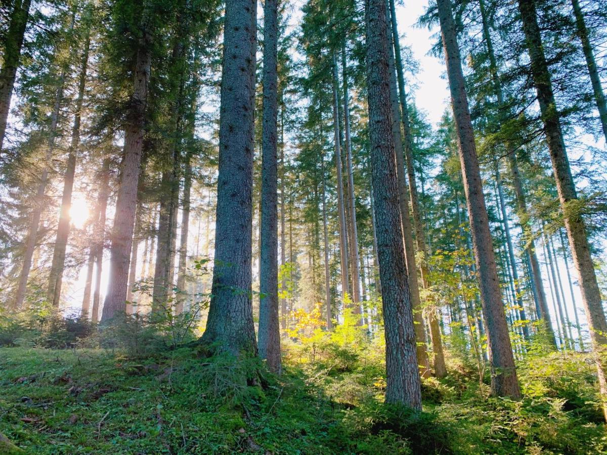 Ausseerhaus Im Gruenen Aussere Kainisch Esterno foto